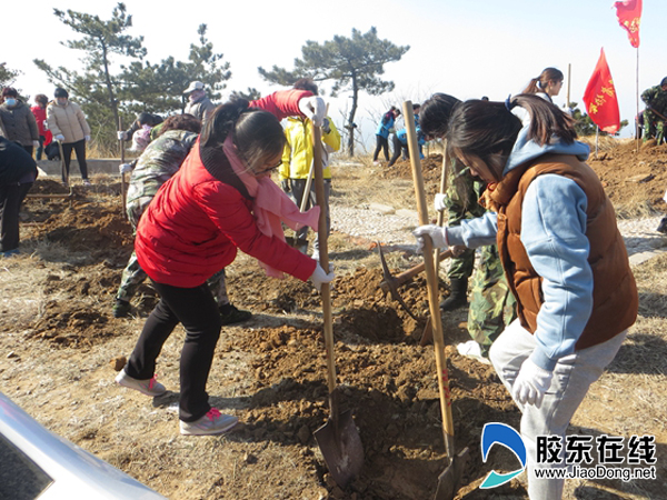 长岛县第一实验学校积极参加义务植树活动