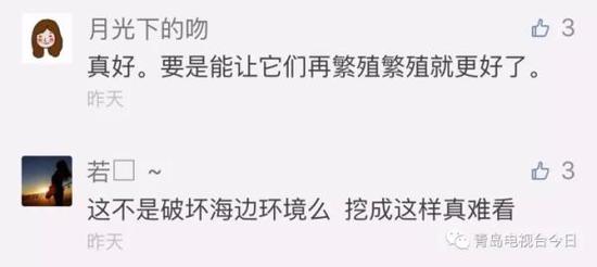 青岛市民组团挖海知了 专家:再吃又要灭绝了