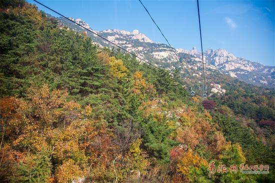 11月6日至12日,景区将推出“崂山索道优惠周”活动,青岛市民凭身份证享受索道买一赠一优惠。