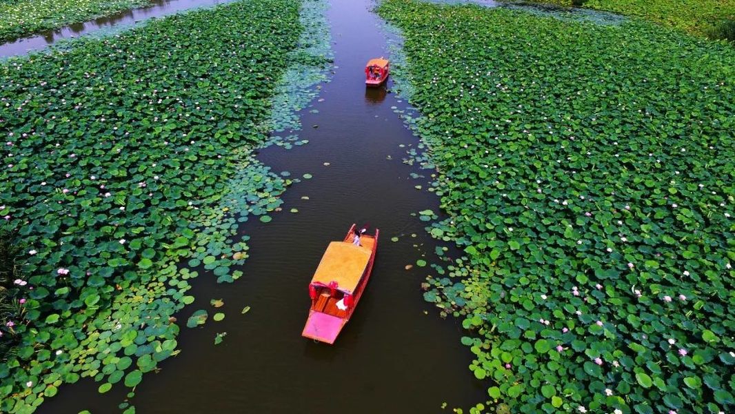 台儿庄双龙湖湿地图片