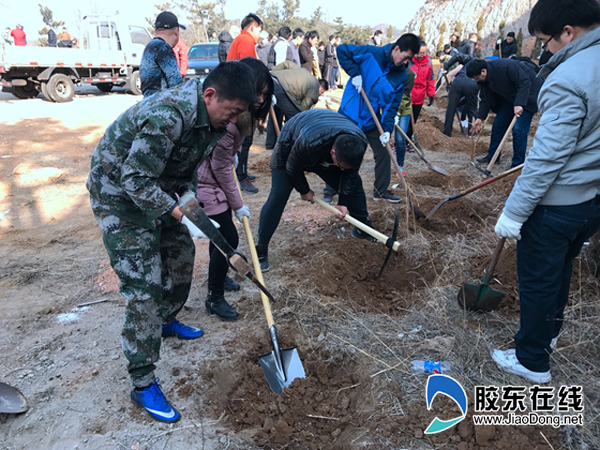 长岛一校组织教师参与植树节义务植树活动
